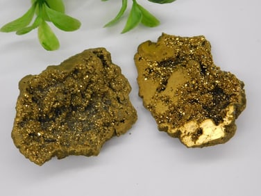 Gold Alien Egg Geode Halves Rock Stone Lapidary Specimen