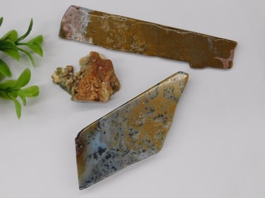 Ocean Jasper Rock Stone Lapidary Specimen