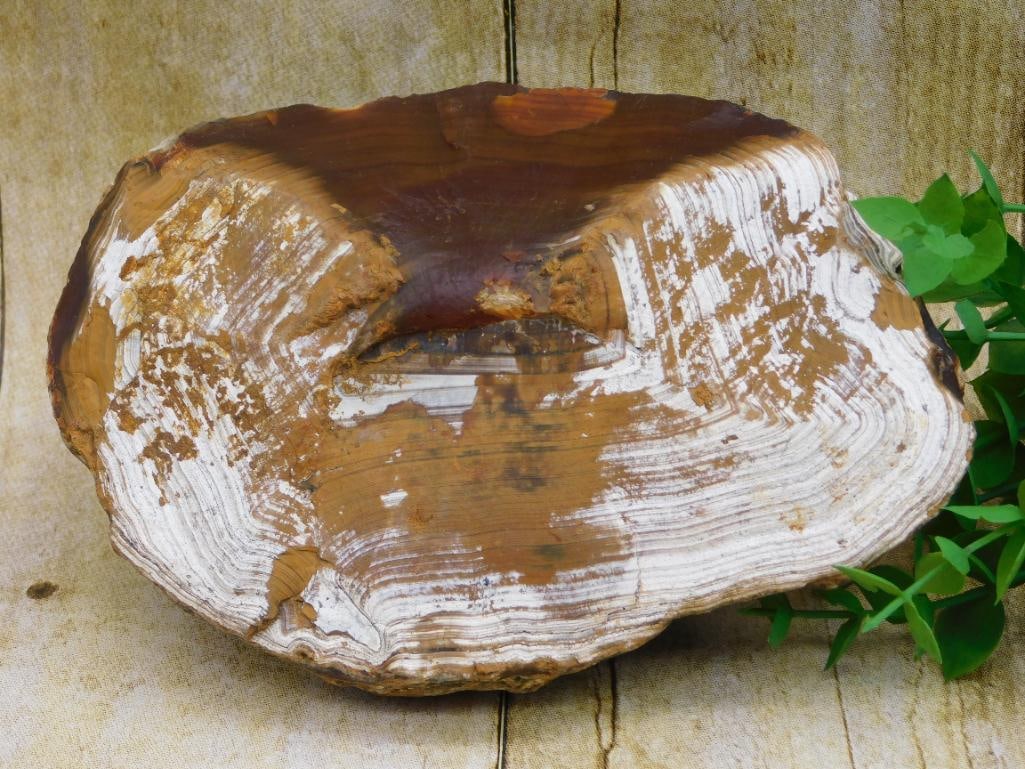 3 POUND BRAZILIAN AGATE ROCK STONE LAPIDARY SPECIMEN: 3 POUND BRAZILIAN AGATE ROCK STONE LAPIDARY SPECIMEN