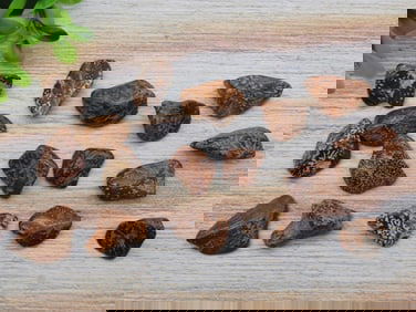 STARBURST JASPER ROCK STONE LAPIDARY SPECIMEN