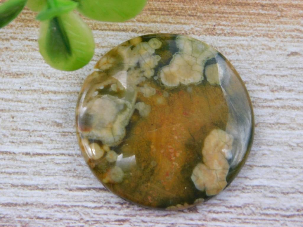 RHYOLITE CABOCHON ROCK STONE LAPIDARY SPECIMEN: RHYOLITE CABOCHON ROCK STONE LAPIDARY SPECIMEN