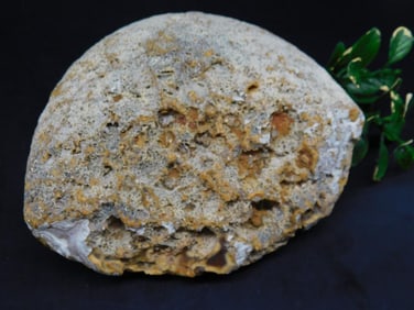 BRAZILIAN AGATE ROCK STONE LAPIDARY SPECIMEN