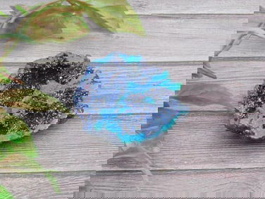 ALIEN EGG GEODE ROCK STONE LAPIDARY SPECIMEN