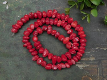 Strand of Red Coral Beads for Jewelry Making Rock Stone Lapidary Specimen