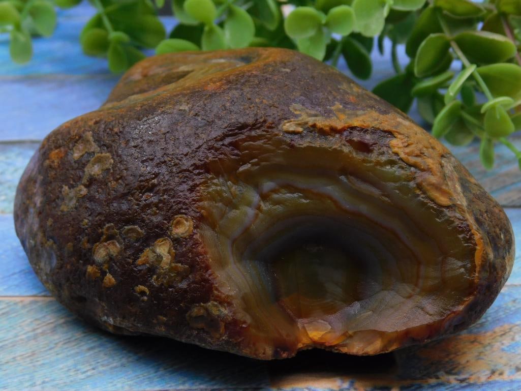 Brazilian Agate Rock Stone Lapidary Specimen: Brazilian Agate Rock Stone Lapidary Specimen