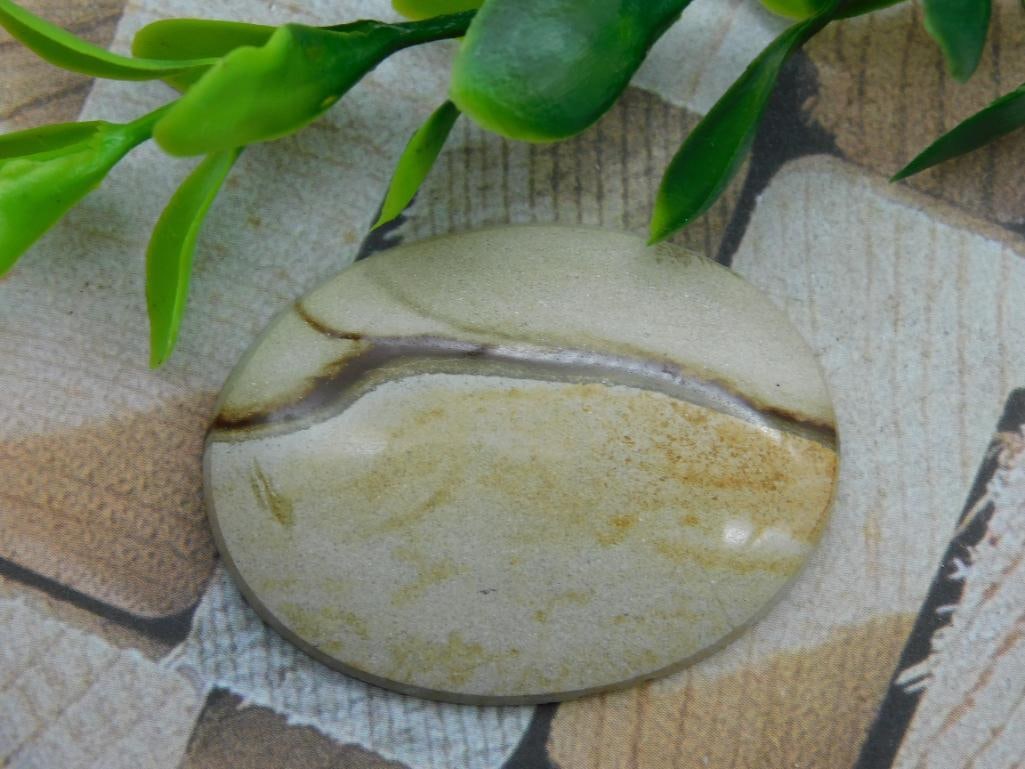 JASPER CABOCHON ROCK STONE LAPIDARY SPECIMEN: JASPER CABOCHON ROCK STONE LAPIDARY SPECIMEN