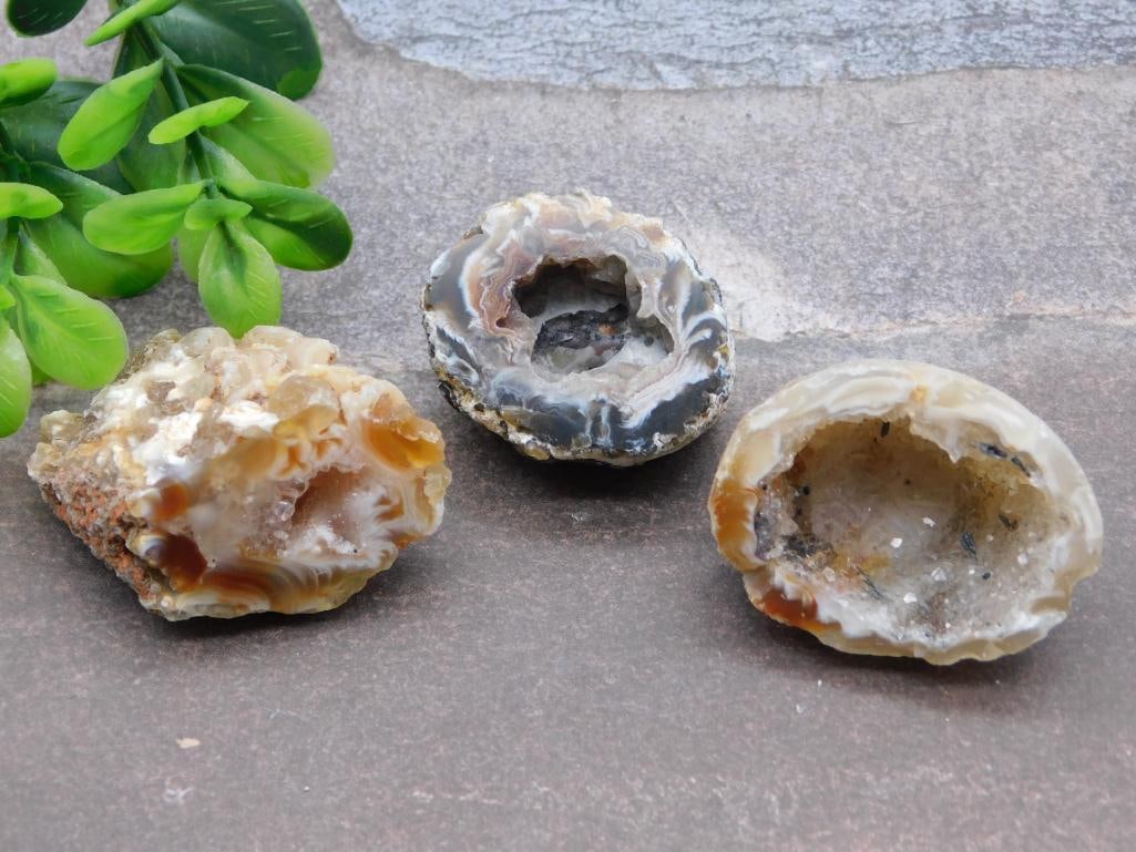 GEODE ROCK STONE LAPIDARY SPECIMEN: GEODE ROCK STONE LAPIDARY SPECIMEN