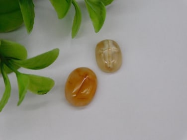 STONE CABOCHONS ROCK STONE LAPIDARY SPECIMEN