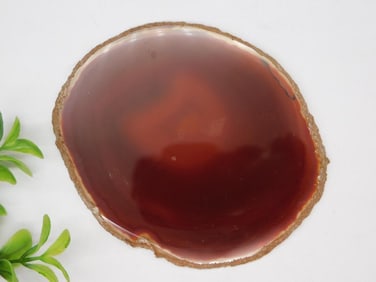 AGATE SLICE ROCK STONE LAPIDARY SPECIMEN