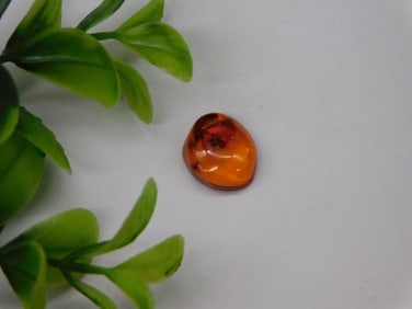 AMBER ROCK STONE LAPIDARY SPECIMEN