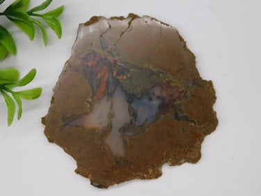 THUNDER EGG GEODE ROCK STONE LAPIDARY SPECIMEN
