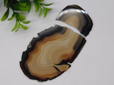 AGATE SLICE ROCK STONE LAPIDARY SPECIMEN