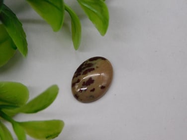 STONE CABOCHON ROCK STONE LAPIDARY SPECIMEN