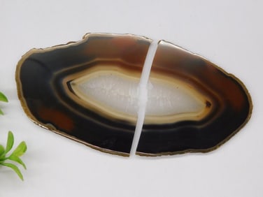 AGATE SLICE ROCK STONE LAPIDARY SPECIMEN