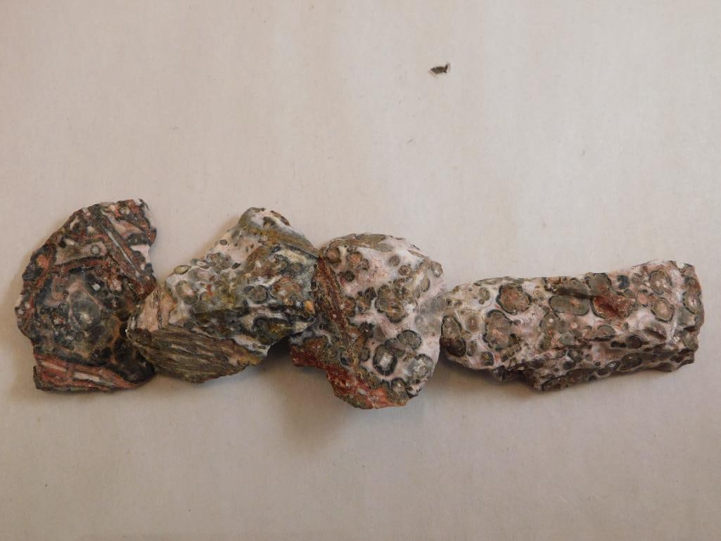 LEOPARD SKIN JASPER ROCK STONE LAPIDARY SPECIMEN: LEOPARD SKIN JASPER ROCK STONE LAPIDARY SPECIMEN