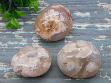 HATMAN FLOWER PETAL AGATE ROCK STONE LAPIDARY SPECIMEN