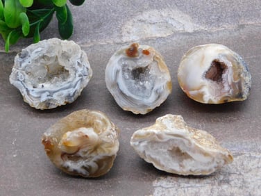 GEODES ROCK STONE LAPIDARY SPECIMEN