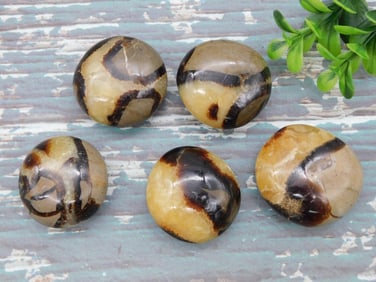 SEPTARIAN ROCK STONE LAPIDARY SPECIMEN