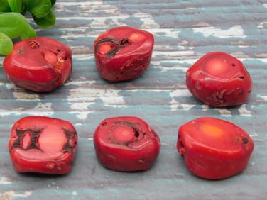 RED CORAL ROCK STONE LAPIDARY SPECIMEN