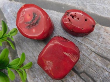 RED CORAL ROCK STONE LAPIDARY SPECIMEN