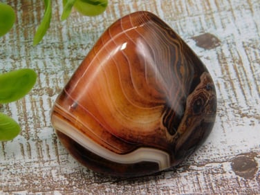 SARDONYX ROCK STONE LAPIDARY SPECIMEN