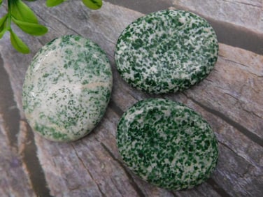SPOTTED SERPENTINE WORRY STONES ROCK STONE LAPIDARY SPECIMEN