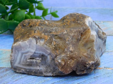 BRAZILIAN AGATE ROCK STONE LAPIDARY SPECIMEN