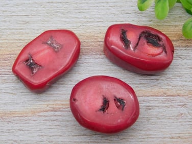 RED CORAL ROCK STONE LAPIDARY SPECIMEN