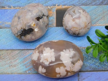 HATMANS FLOWER PETAL AGATE ROCK STONE LAPIDARY SPECIMEN