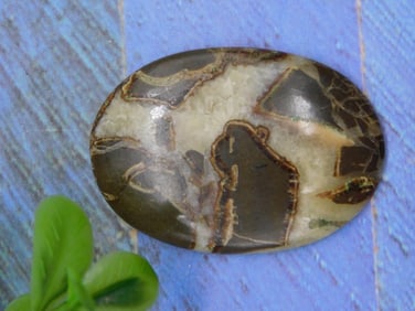 SEPTARIAN CABOCHON ROCK STONE LAPIDARY SPECIMEN
