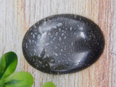DINOSAUR BONE CABOCHON ROCK STONE LAPIDARY SPECIMEN