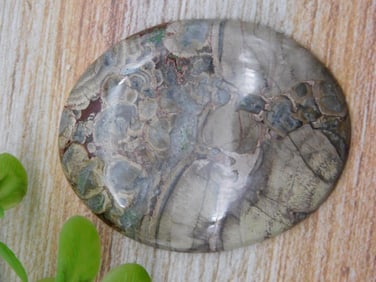 MUSHROOM RHYOLITE CABOCHON ROCK STONE LAPIDARY SPECIMEN