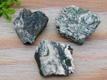 TREE AGATE ROCK STONE LAPIDARY SPECIMEN