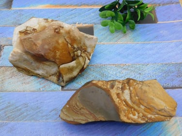 JASPER ROCK STONE LAPIDARY SPECIMEN