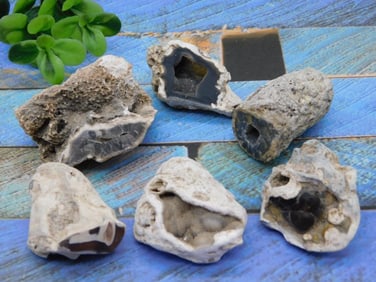 AGATIZED QUARTZ ROCK STONE LAPIDARY SPECIMEN