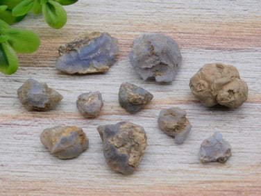 ELLENSBURG AGATE ROCK STONE LAPIDARY SPECIMEN