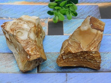 JASPER ROCK STONE LAPIDARY SPECIMEN