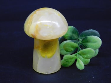 STONE MUSHROOM ROCK STONE LAPIDARY SPECIMEN