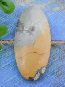 CABOCHON ROCK STONE LAPIDARY SPECIMEN