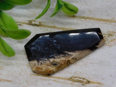 PETRIFIED PALM WOOD CABOCHON ROCK STONE LAPIDARY SPECIMEN