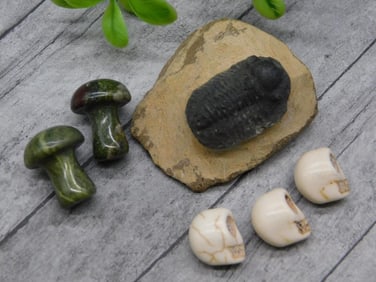 MIXED LOT ROCK STONE LAPIDARY SPECIMEN