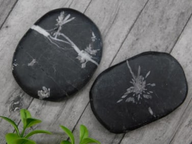 CHRYSANTHEMUM ROCK STONE LAPIDARY SPECIMEN