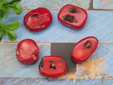 RED CORAL ROCK STONE LAPIDARY SPECIMEN