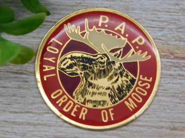 LOYAL ORDER OF MOOSE CABOCHON MEDALLION