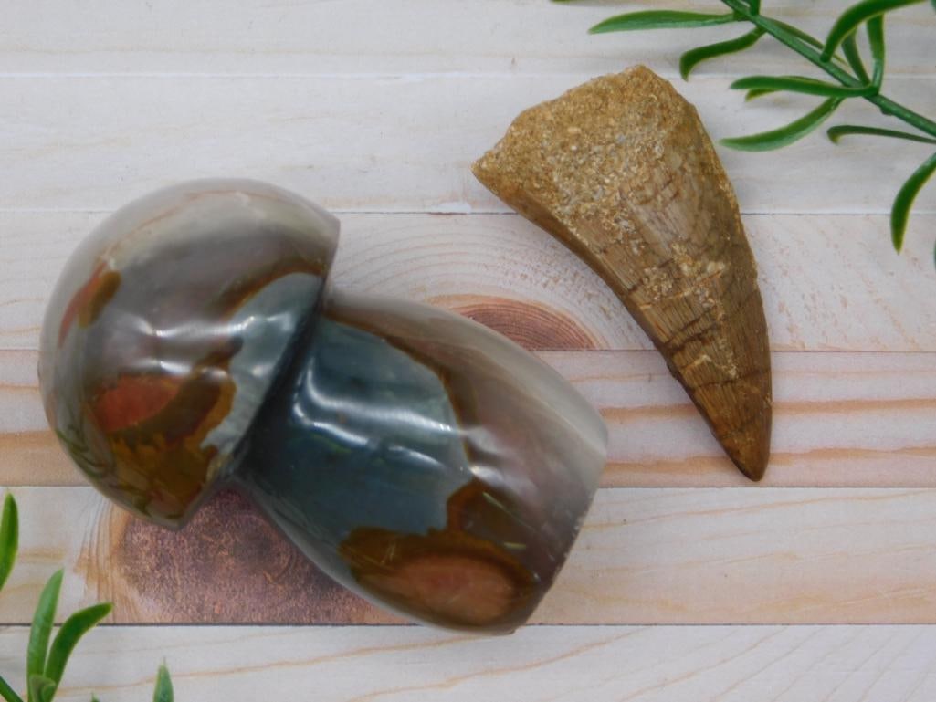 MIXED LOT ROCK STONE LAPIDARY SPECIMEN: MIXED LOT ROCK STONE LAPIDARY SPECIMEN