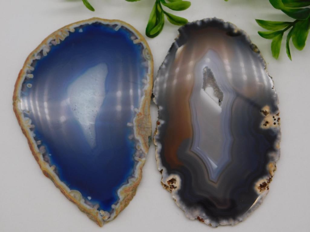 AGATE SLICES ROCK STONE LAPIDARY SPECIMEN: AGATE SLICES ROCK STONE LAPIDARY SPECIMEN