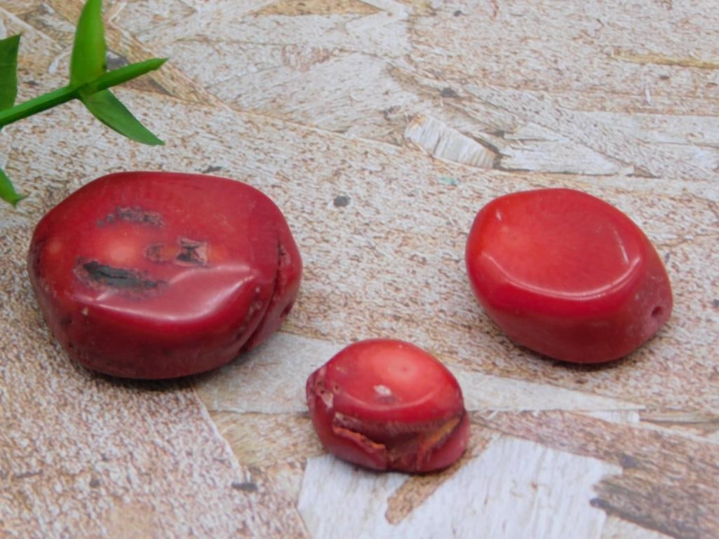 RED CORAL ROCK STONE LAPIDARY SPECIMEN: RED CORAL ROCK STONE LAPIDARY SPECIMEN