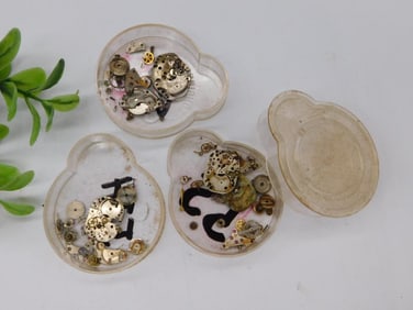 Watch Parts in Plastic Containers Watchmaking Watchmaker Tools