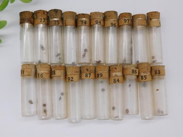 Numbered Vintage Specimen Vials With Cork Stoppers WATCHMAKER WATCHMAKING TOOLS