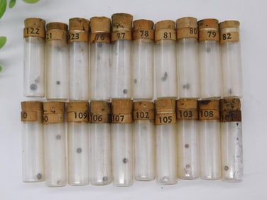 15 Vintage Numbered Specimen Vials With Cork Stoppers WATCHMAKER WATCHMAKING TOOLS